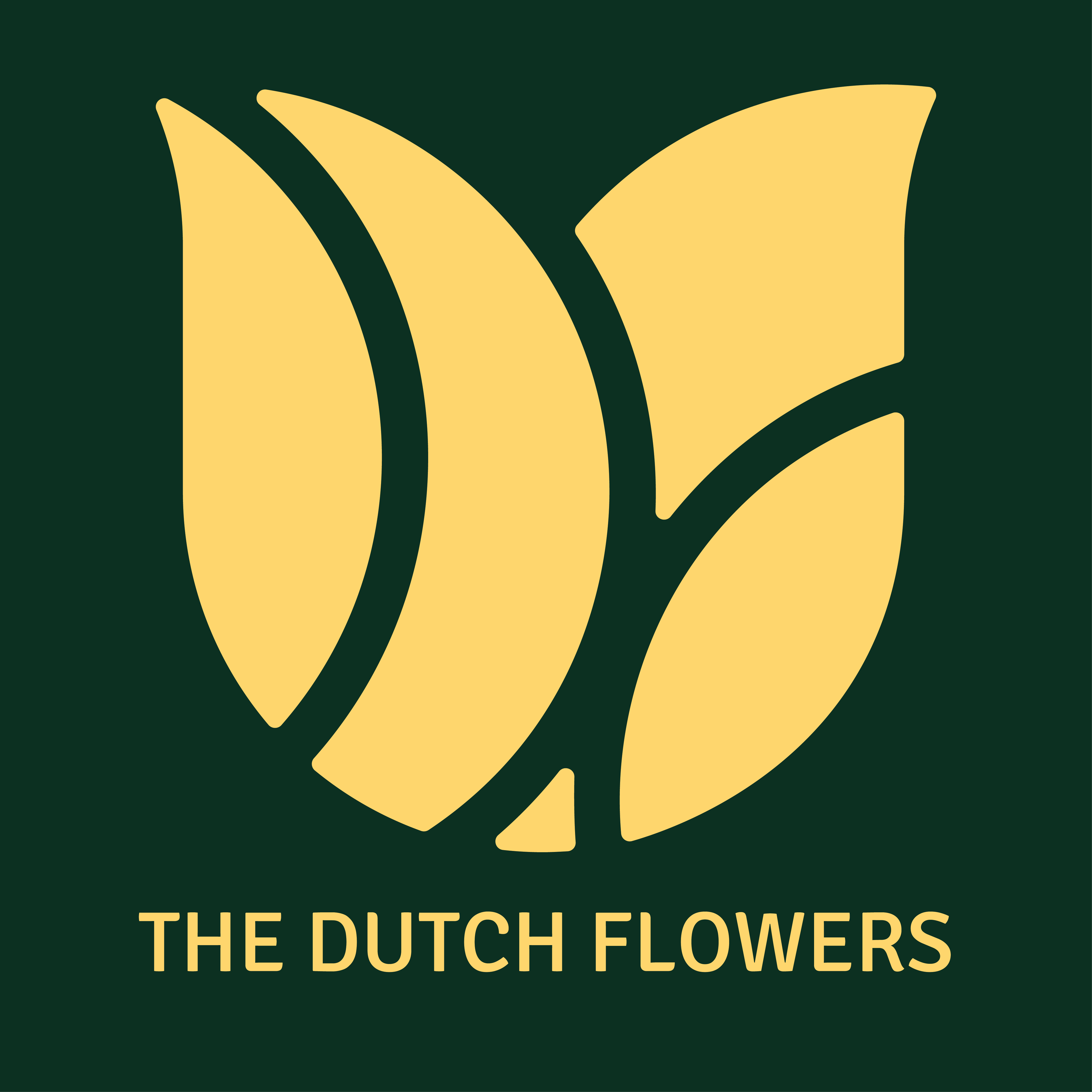 The Dutch Flower